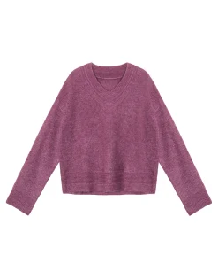 JERSEY COLLEGE · CIRUELA